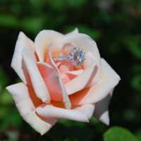 My Ring!