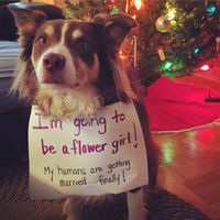 Traditional, but not really