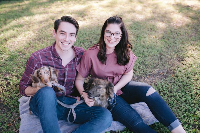 Engagement pics with pet 3