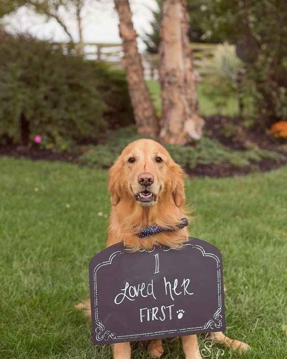 ASR wedding day/ BAB