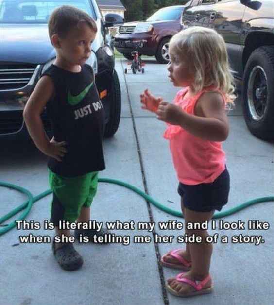 NWR: Memes & Cute Animal Pictures