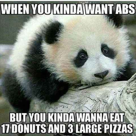 NWR: Memes & Cute Animal Pictures