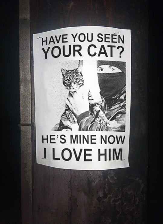 NWR: Memes & Cute Animal Pictures
