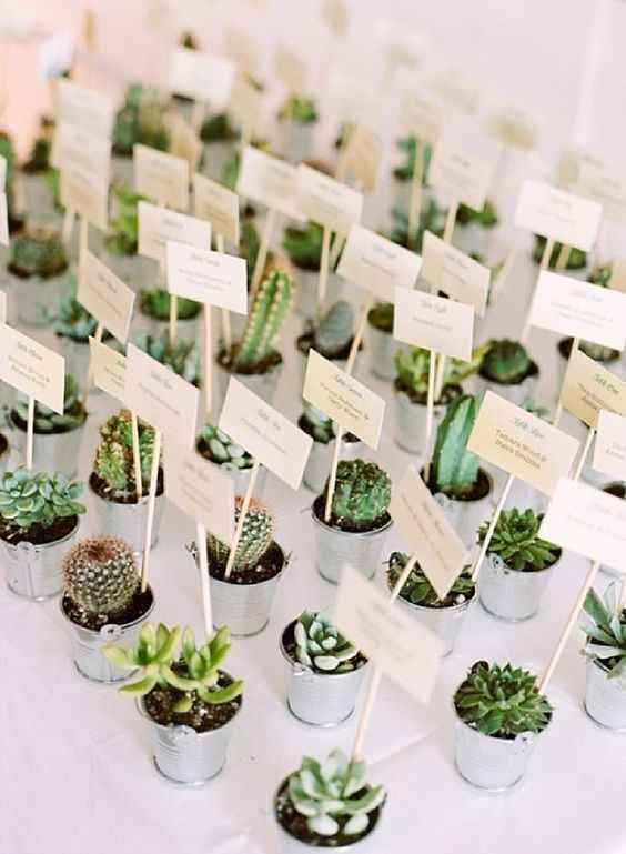 green succulent place cards