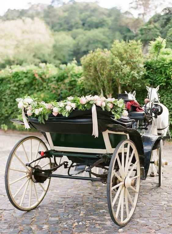 Horse Drawn Carriage