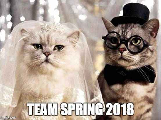Team Spring 2018