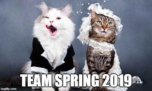 Team Spring 2019