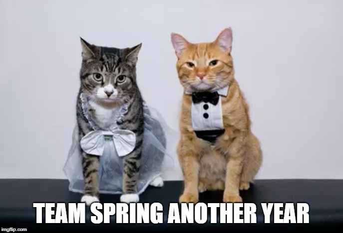 Team Spring Another Year
