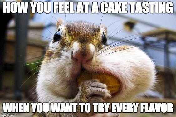 cake tasting