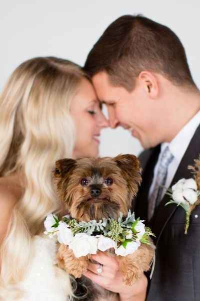pet wedding pics