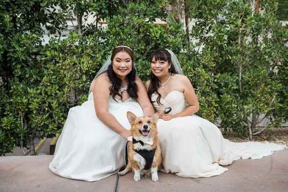 pet wedding pics