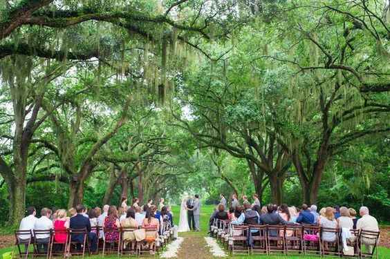 3 - Chic South Carolina Outdoor Wedding