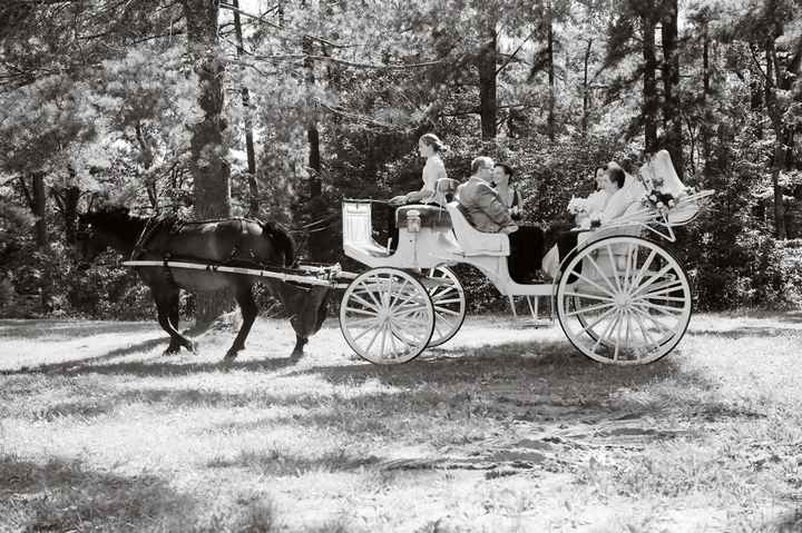 horse drawn carriage