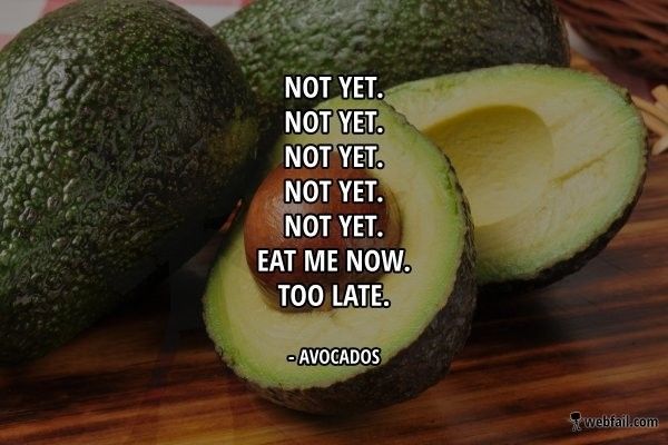 NWR : Avocados