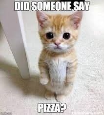 Why???