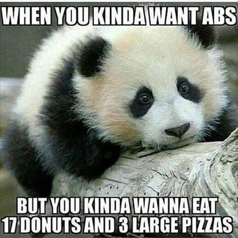 NWR: Memes & Cute Animal Pictures