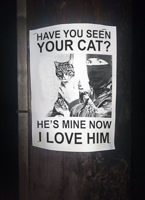 NWR: Memes & Cute Animal Pictures
