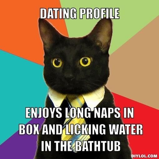 NWR: Memes & Cute Animal Pictures