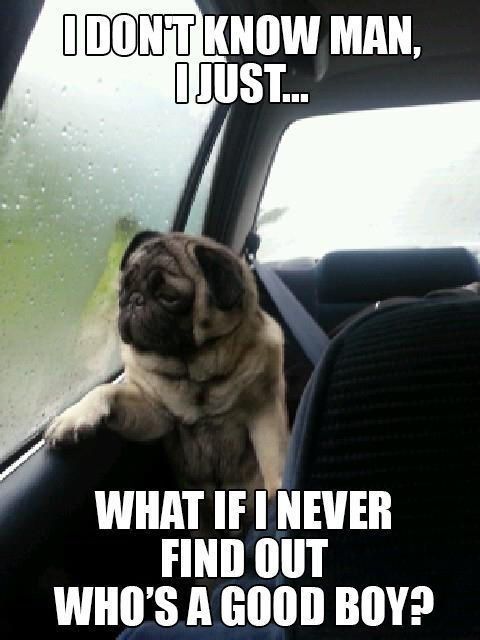 NWR: Got memes?