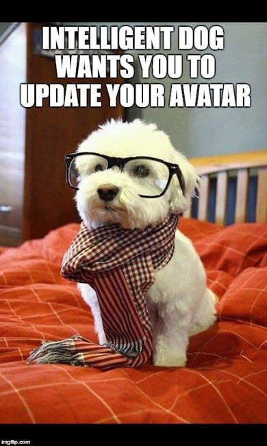 Are you new? Do you have a double ring avatar?