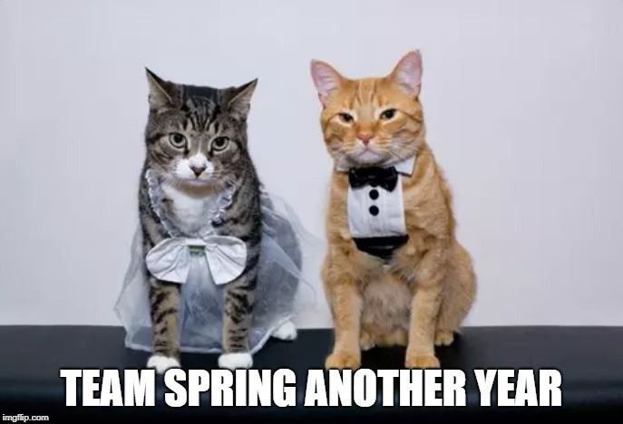 Team Spring Another Year