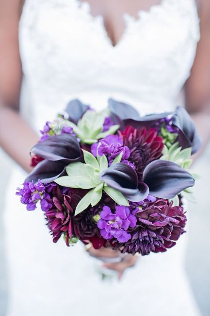 Plum and Peacock Winery Wedding