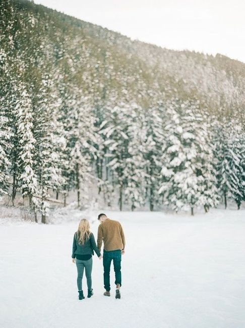 Snowy field/forest e-pics