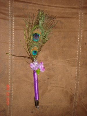 Peacock Feather Pen - Too Cheesy?