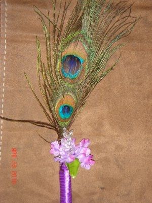 Peacock Feather Pen - Too Cheesy?