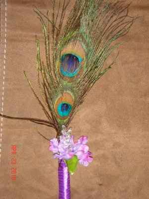 Peacock Feather Pen - Too Cheesy?