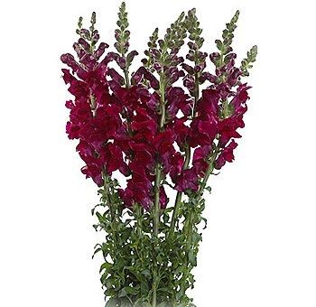 alright ladys i need flower help