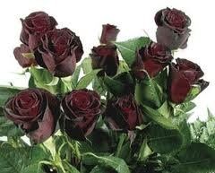 alright ladys i need flower help