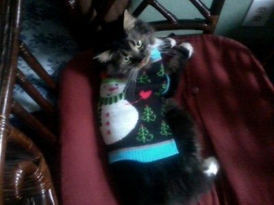 NWR: Show off your fur baby!