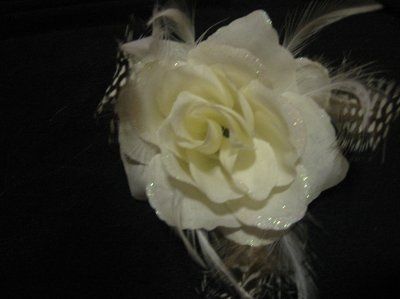 Let's see your tiaras/headpieces!
