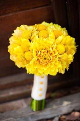 Flower Power