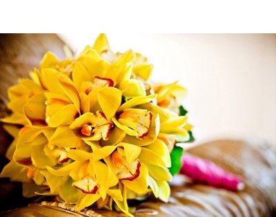 Flower Power