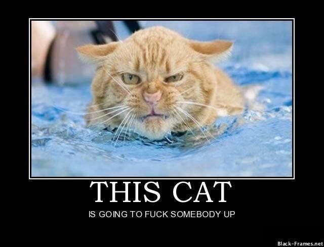 Oh my God, the drama!