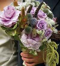 looking for flower ideas.