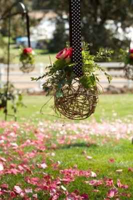 looking for flower ideas.