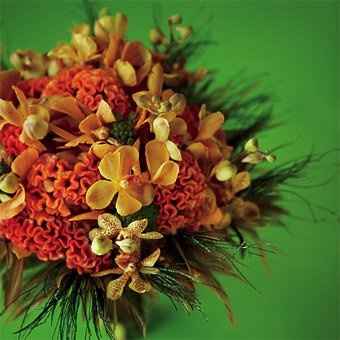 looking for flower ideas.