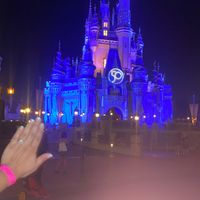 2024 Brides - Show us your ring! - 1