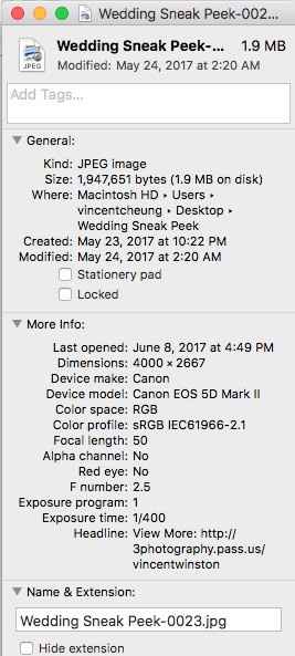 Non-Professional review of AdoramaPix Hudson Photo Album