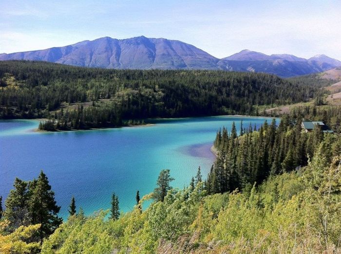 Alaskan Honeymoon