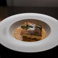 Pro Bam (Pic Heavy and Text Heavy)