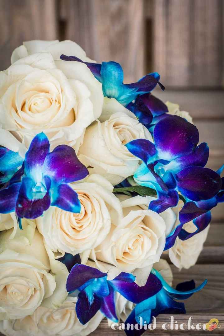 BAM with some sneak-peak pro-pics!