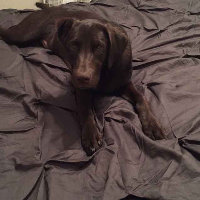 I LOVE my fur baby!