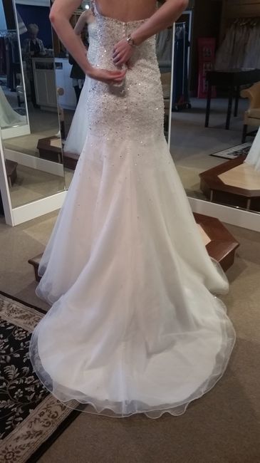 Dress alteration issues...