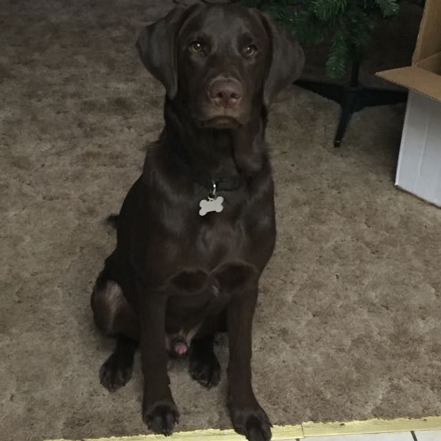 I LOVE my fur baby!