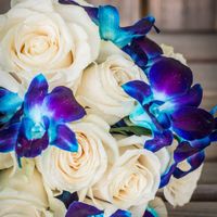 BAM with some sneak-peak pro-pics!