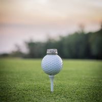 BAM with some sneak-peak pro-pics!